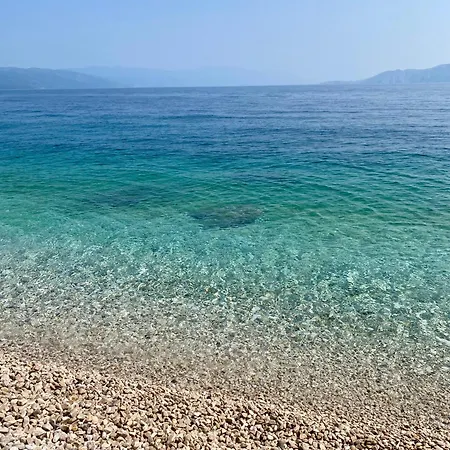 Ally * Crikvenica