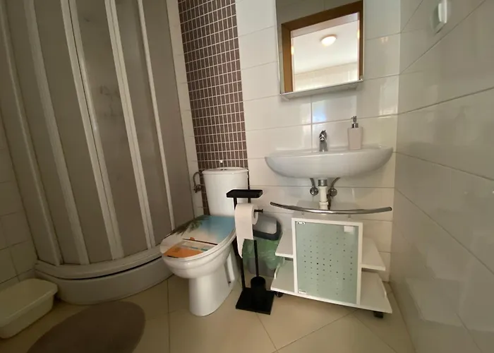 Ally Цриквеница