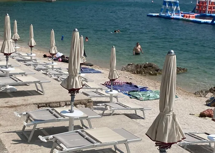 Ally Цриквеница