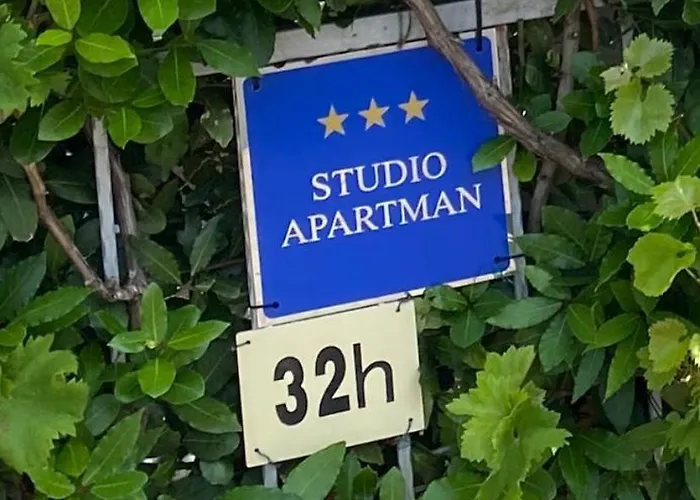 Ally Цриквеница